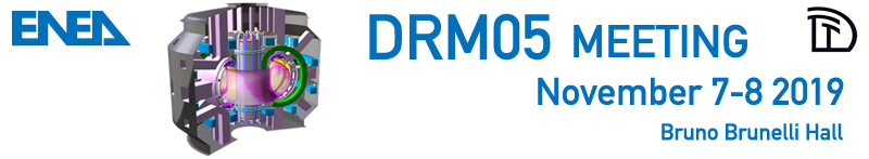 DRM05 on layout and remote handling