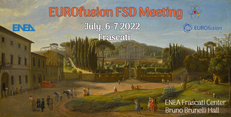 FSD meeting